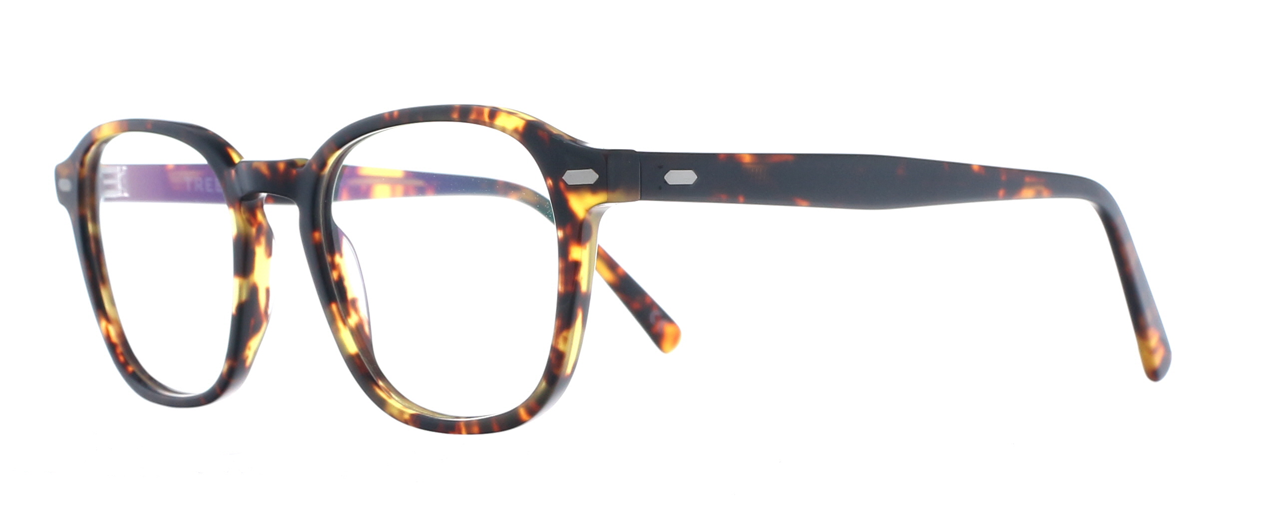 Picture of Tree Elia